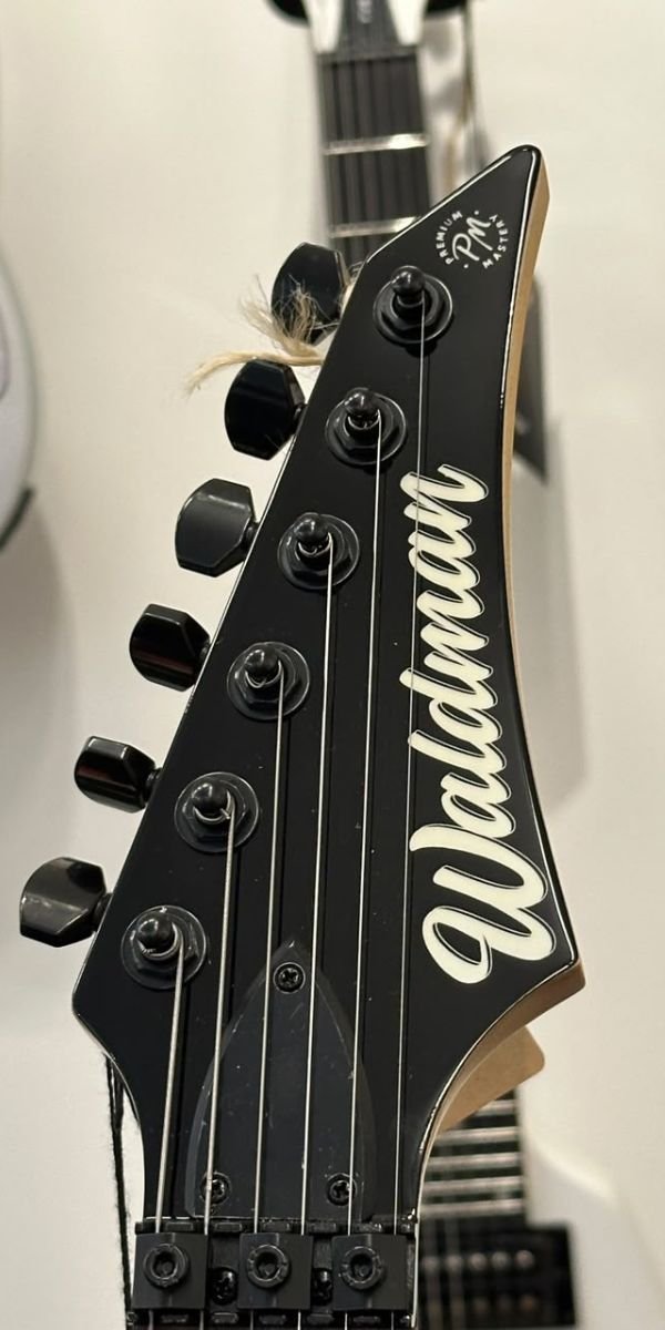 Guitarra Elétrica Waldman WIG350 BK Black HSH Floyd Rose Original 24 Trastes