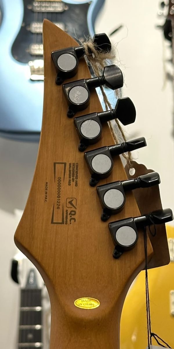 Guitarra Strato Waldman HSS Extrav WI 170 G com Bag