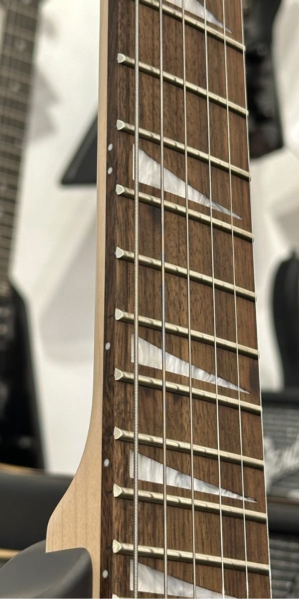 Guitarra Elétrica Waldman WIG450X TBKS Trans Black Satin HSH Floyd Rose 24 Trastes