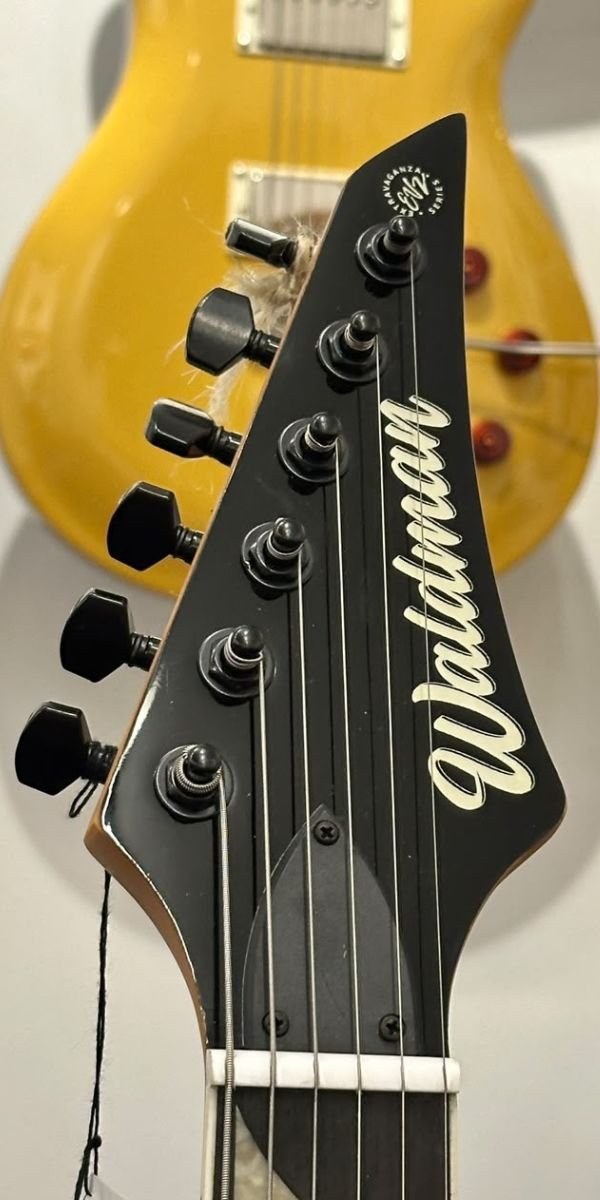 Guitarra Strato Waldman HSS Extrav WI 170 G com Bag