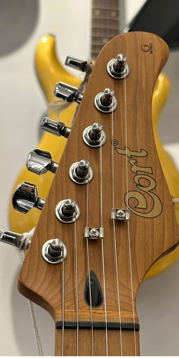 Guitarra Elétrica Cort G250SE OBG Ocean Blue Grey HSS Roasted Maple