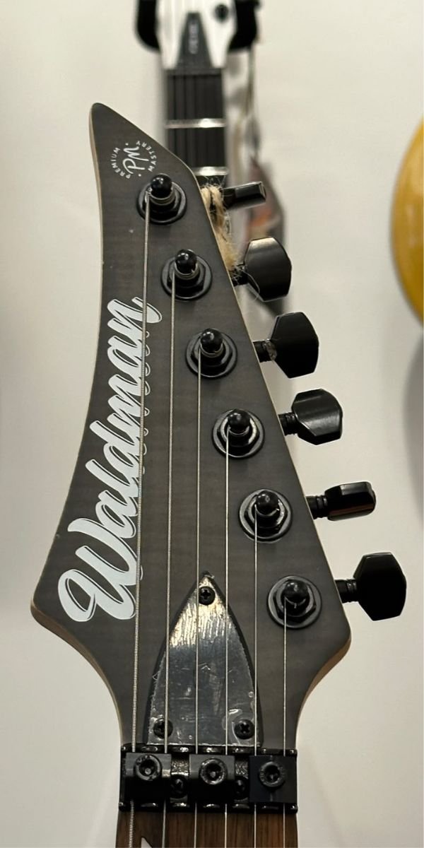 Guitarra Elétrica Waldman WIG450X TBKS Trans Black Satin HSH Floyd Rose 24 Trastes