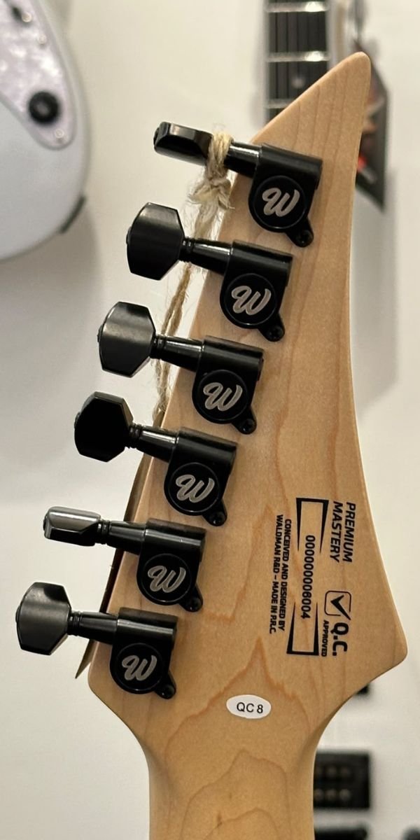 Guitarra Elétrica Waldman WIG450X TBKS Trans Black Satin HSH Floyd Rose 24 Trastes