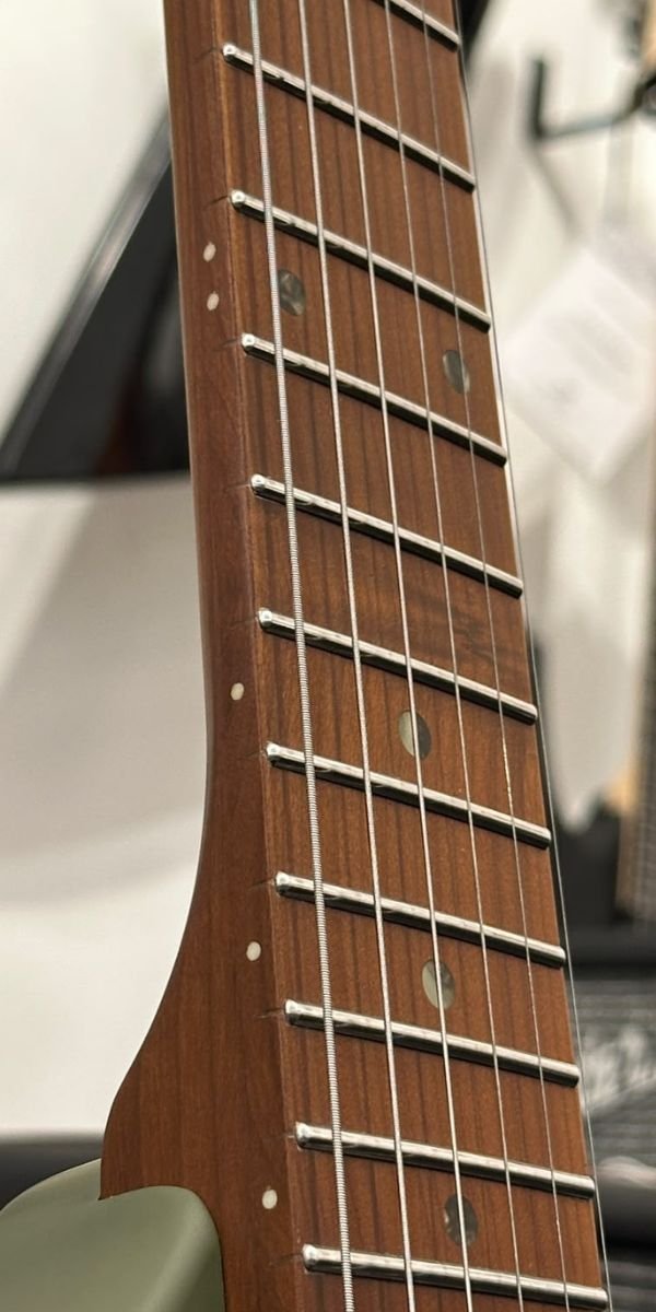 Guitarra Elétrica Waldman WIG-250 OG Olive Green HSH Floyd Tremolo com Bag