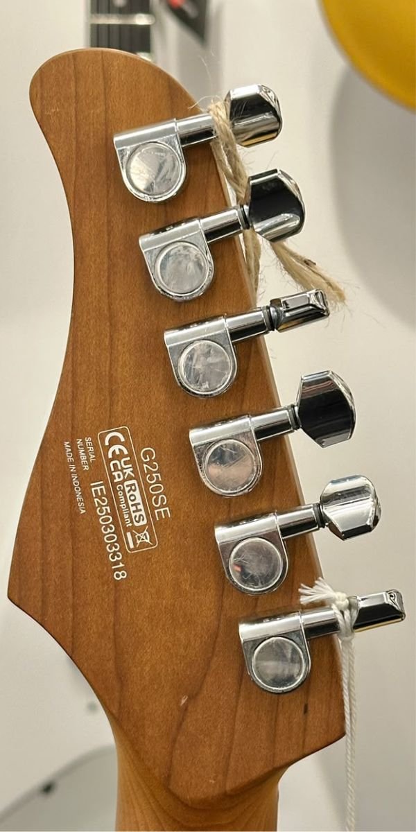 Guitarra Elétrica Cort G250SE OBG Ocean Blue Grey HSS Roasted Maple