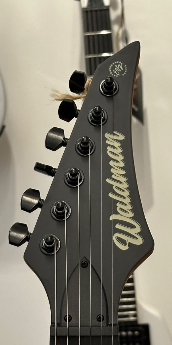 Guitarra Waldman WIG131X BKS Black Satin Super Strato HH 24 Trastes