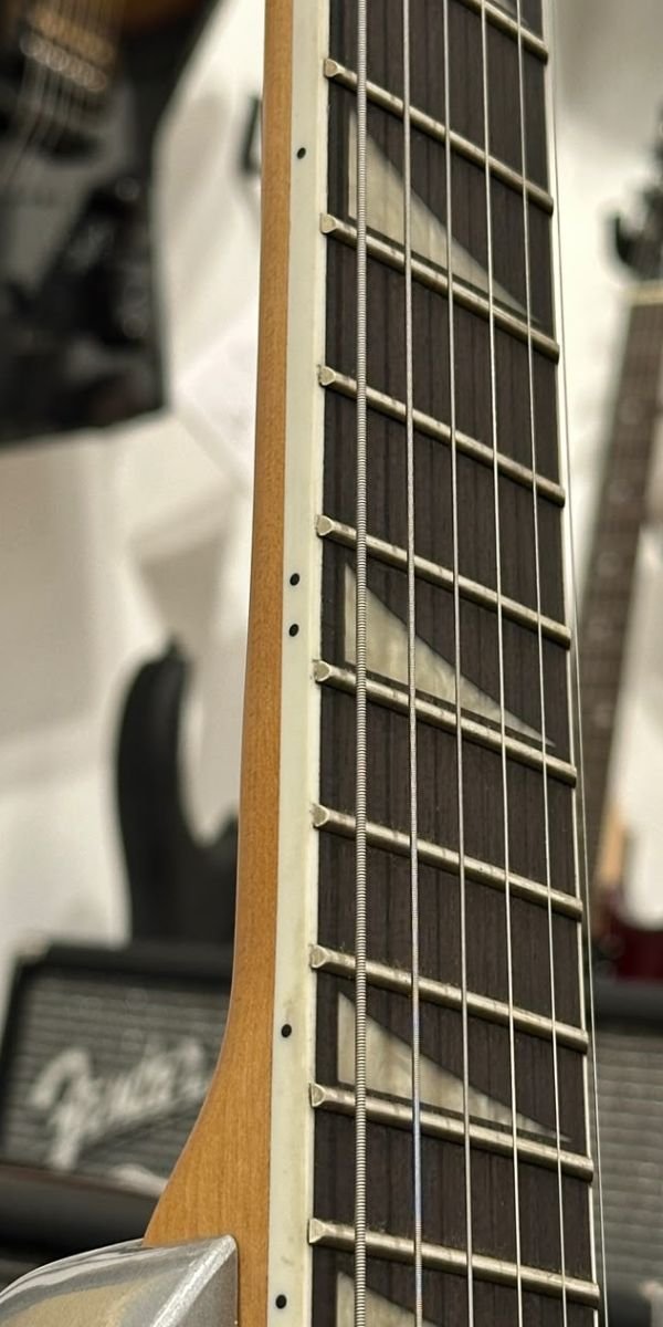 Guitarra Strato Waldman HSS Extrav WI 170 G com Bag
