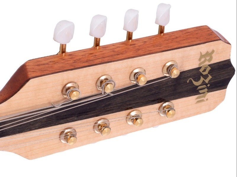 Bandolim Rozini vale a pena? Veja o que analisar antes de comprar