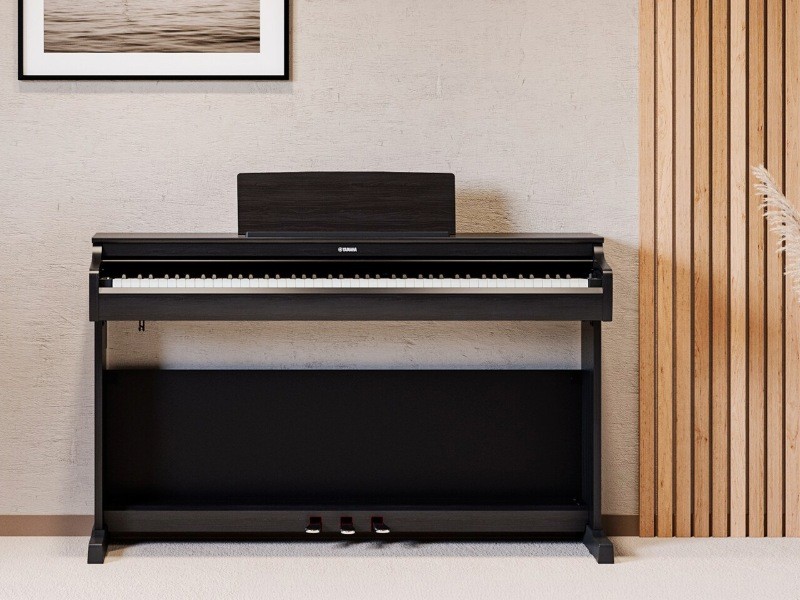 Yamaha YDP-146 vs. YDP-166: entenda as diferenças nas teclas, no som e na potência