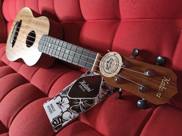Comprando seu primeiro Ukulele: guia completo para escolher o modelo ideal