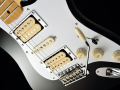 GUITARRA FENDER STRATO SIG SERIES 011 8802 DAVE MURRAY 