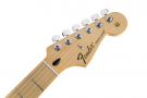 GUITARRA FENDER 014 1003 - STANDARD STRATOCASTER DAVID LOZEAU ART - 350 - TREE OF LIFE