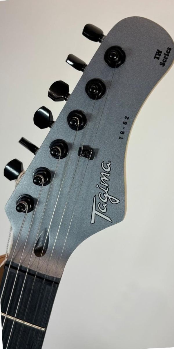 Guitarra Tagima Tw-62 hh 2 Humbuckers Metallic Deep Silver Escala Escura 