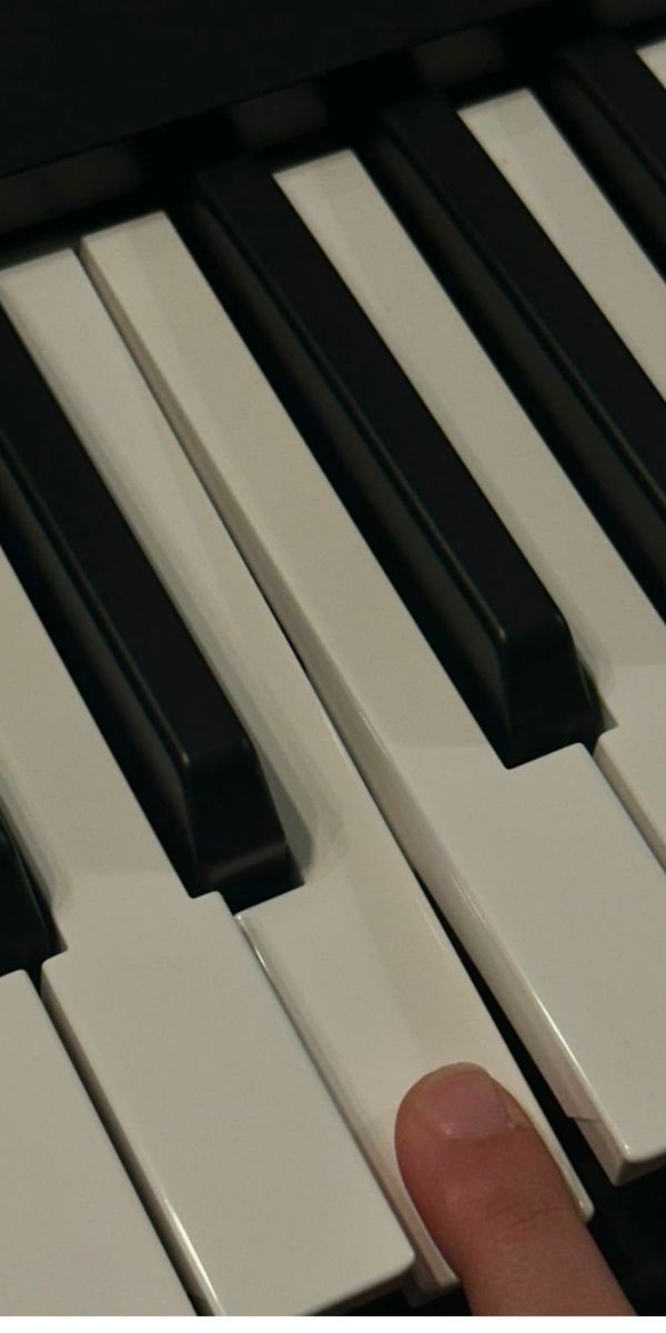 Teclado Yamaha Psr-e283 Arranjador 61 Teclas 