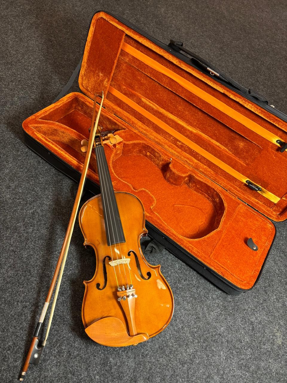 Violino Eagle Enverzinado Tampo Sólido Ve-441 4/4 