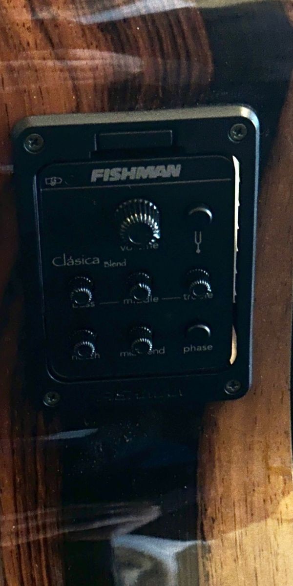 Violão Nylon Elétrico Rozini Rx213.fcb.n.j Natural Fishman Clásica Blend Jacarandá 