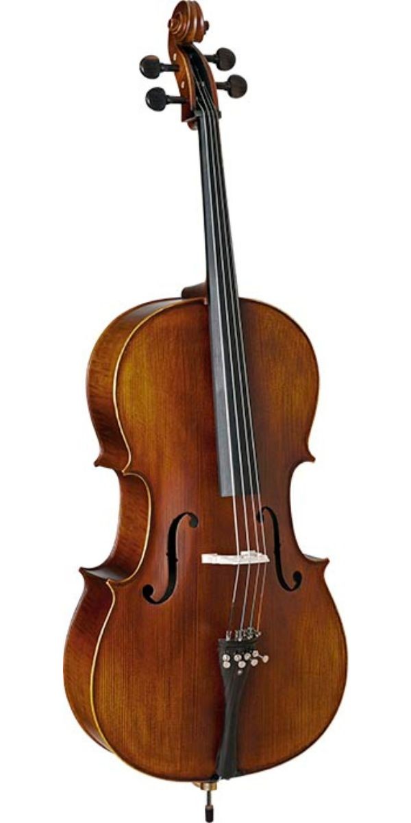 Violoncelo Eagle Ce310 4/4 Satin ts Com Arco, Breu e Bag Extra Luxo 