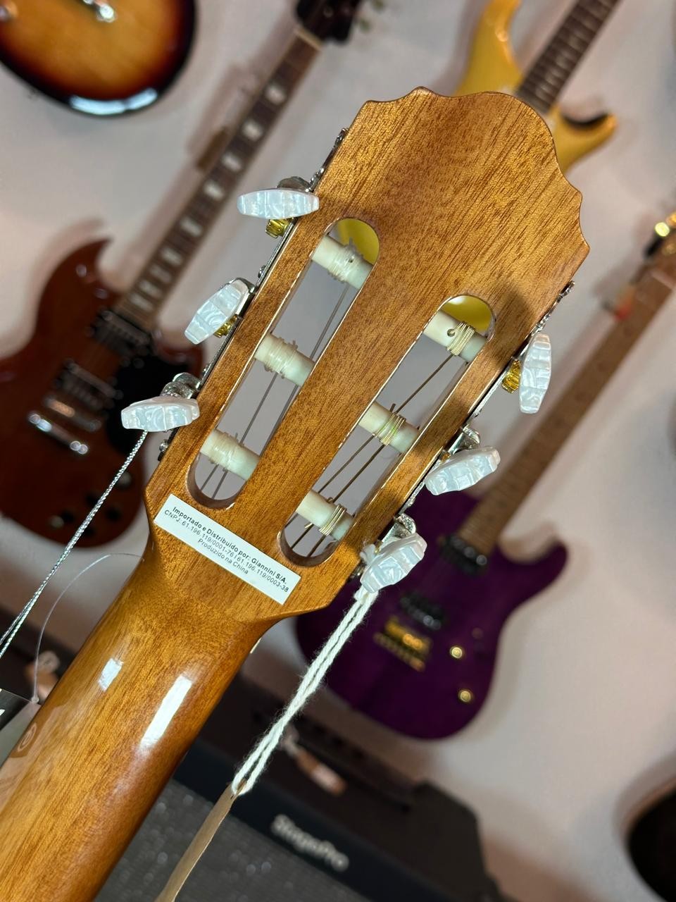 Violão Aço Eletroacústico Giannini Performance Plus N-17 n (natural) 