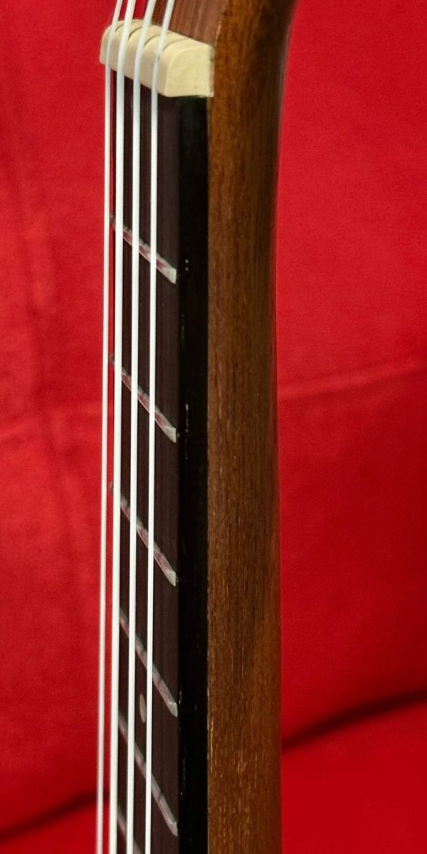 Ukulele Concert 23" Shelby Su23r Jacarandá Acetinado 