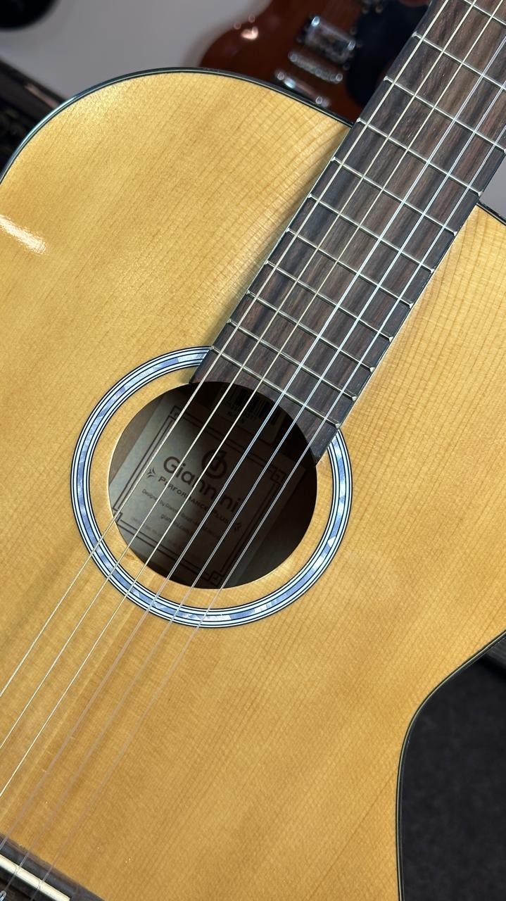 Violão Aço Eletroacústico Giannini Performance Plus N-17 n (natural) 