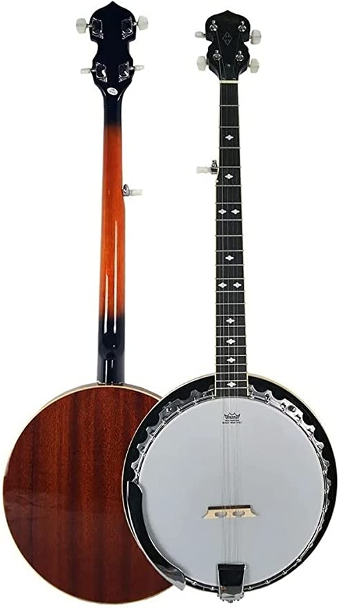 Banjo Americano Acústico Strinberg Wb50 5 Cordas 