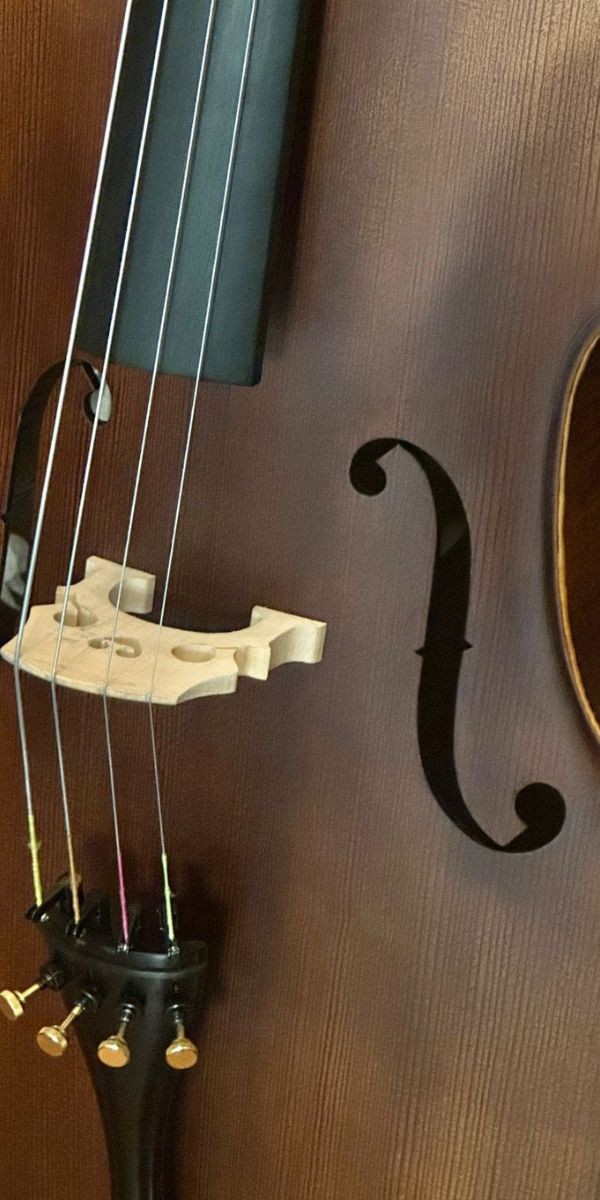 Violoncelo Eagle Ce310 4/4 Satin ts Com Arco, Breu e Bag Extra Luxo 