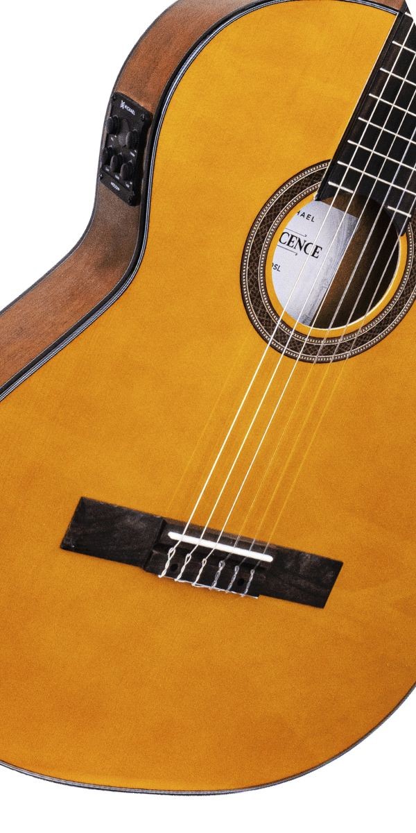 Violão Michael Vmr250fl Renascence Flat Nylon Elétrico Cutaway Com Bag Luxo 