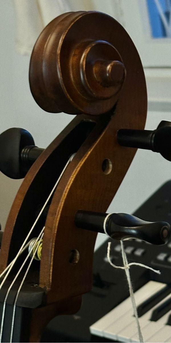 Violoncelo Eagle Ce310 4/4 Satin ts Com Arco, Breu e Bag Extra Luxo 