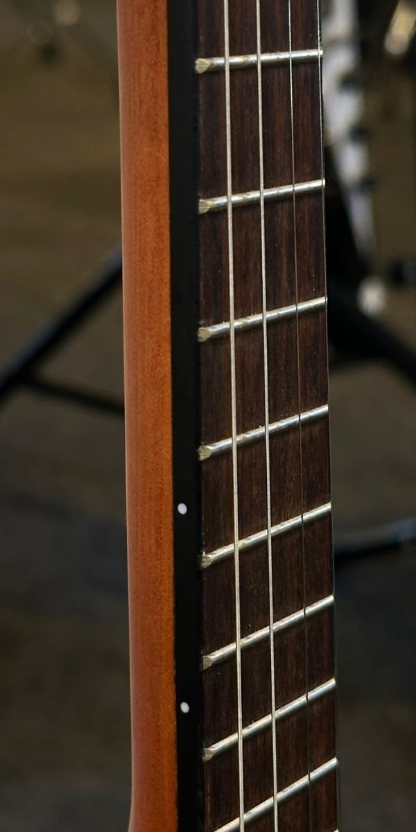 Cavaquinho Giannini Performance Plus Cs-34 Sls Acústico Sapele Satin Com Bag 