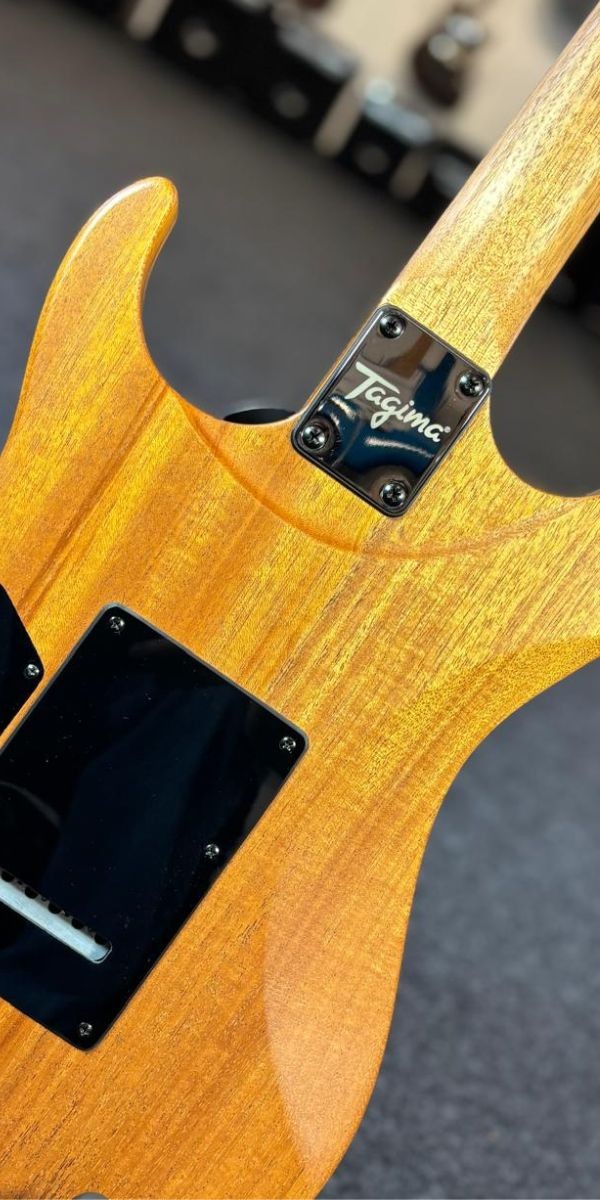 Guitarra Tagma Stella Escala Escura Mahogany Nts 