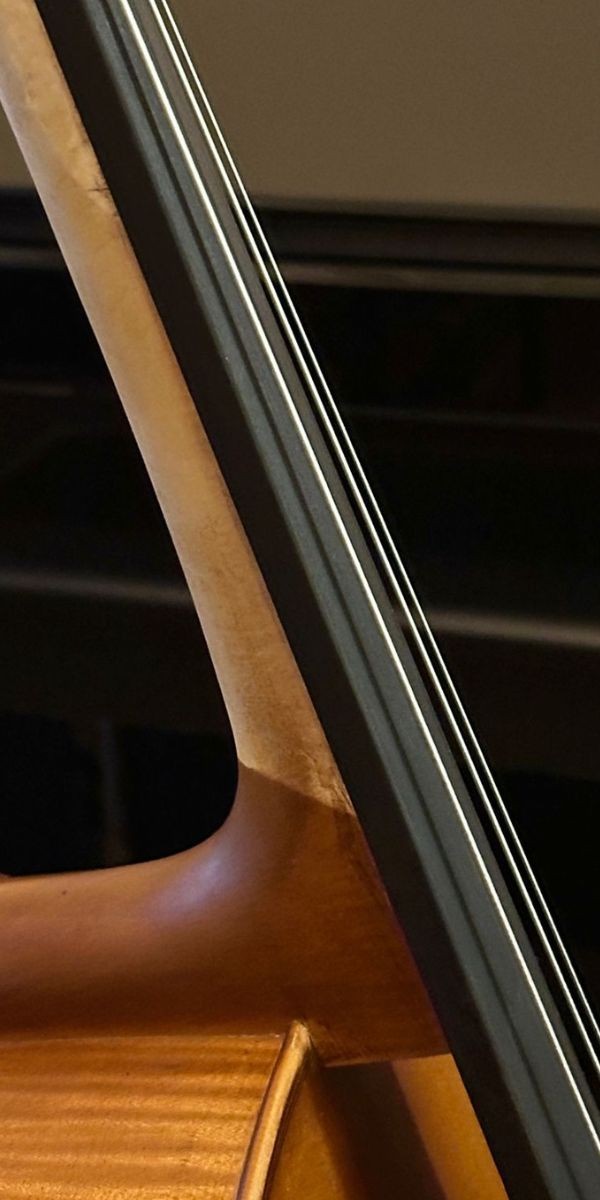 Violoncelo 4/4 Eagle Ce300 Abeto e Maple Sólidos Com Bag 