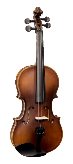 Violino 4/4 Vogga na 