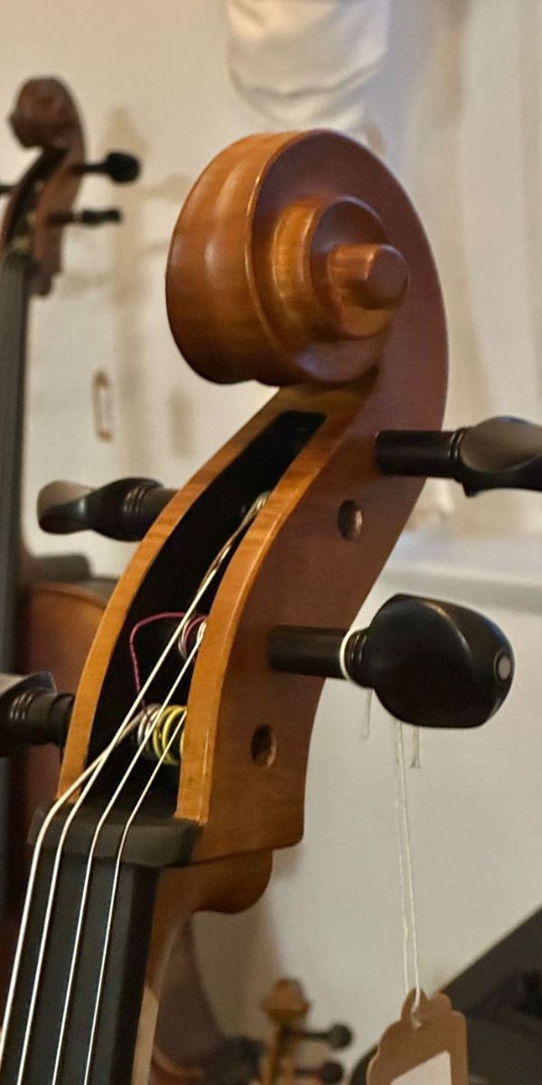 Violoncelo 4/4 Eagle Ce300 Abeto e Maple Sólidos Com Bag 