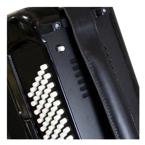 Acordeon Todeschini 41 Teclas e 120 Baixos Preto Com Bag Yw827 
