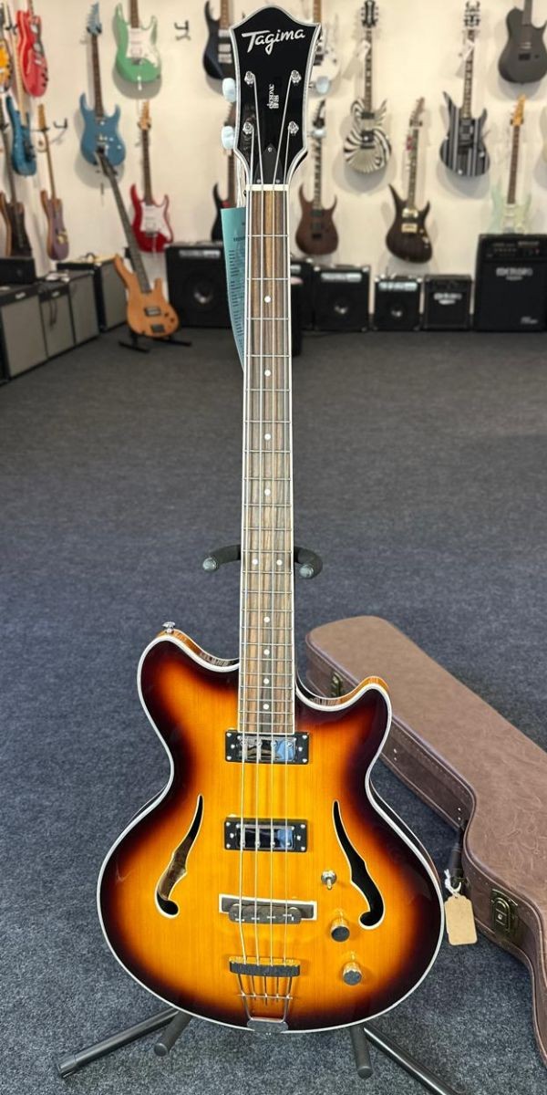 Contrabaixo Semi Acústico Tagima Ekosonic Bass sb Escala Escura Com Case 