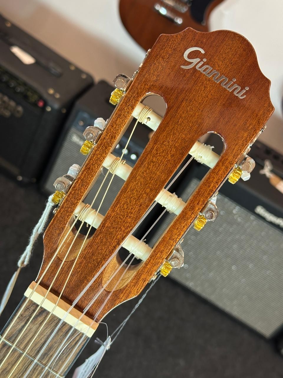 Violão Aço Eletroacústico Giannini Performance Plus N-17 n (natural) 