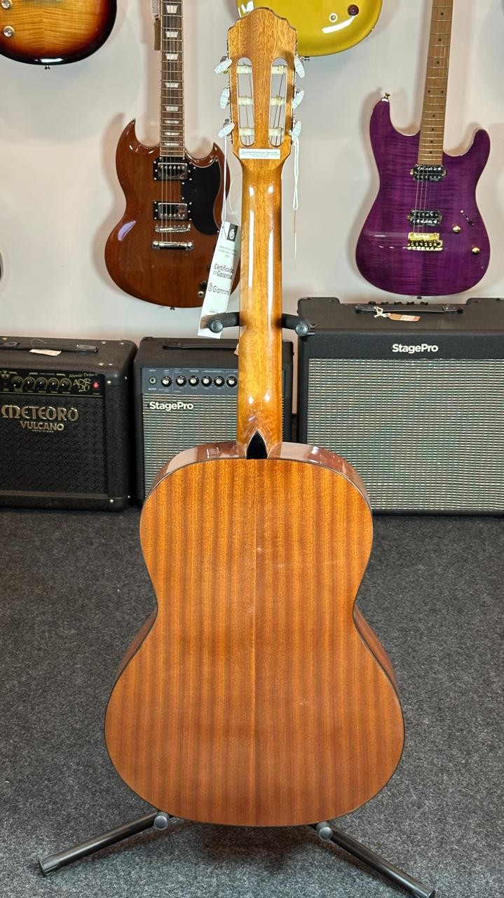 Violão Aço Eletroacústico Giannini Performance Plus N-17 n (natural) 