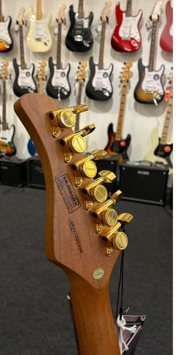 Guitarra Strinberg Hss Sgs500 Metalic Green Acompanha Bag 