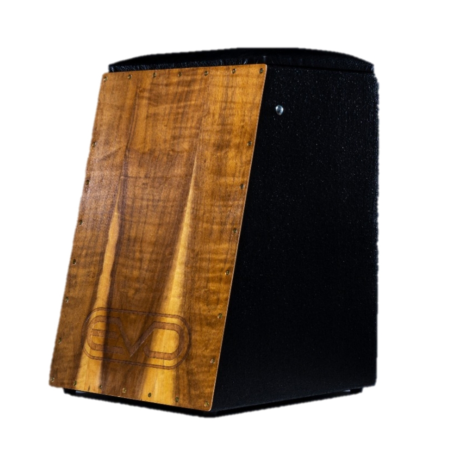 Cajon Evo Profissional Elétrico 