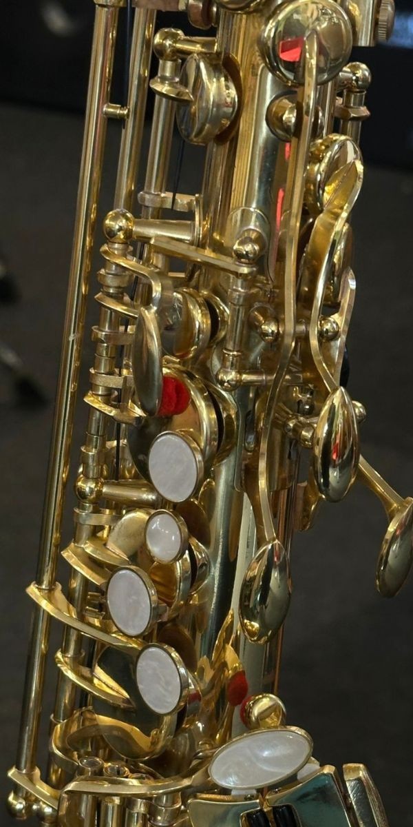 Saxofone Alto Vivace Vas101 eb mi Bemol Laqueado Com Case 