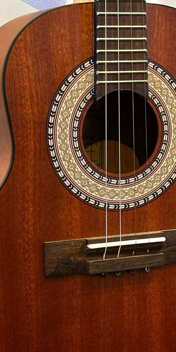 Cavaquinho Giannini Performance Plus Cs-34 Sls Acústico Sapele Satin Com Bag 