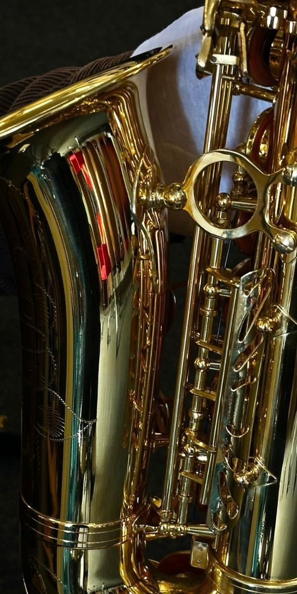 Saxofone Alto Vivace Vas101 eb mi Bemol Laqueado Com Case 