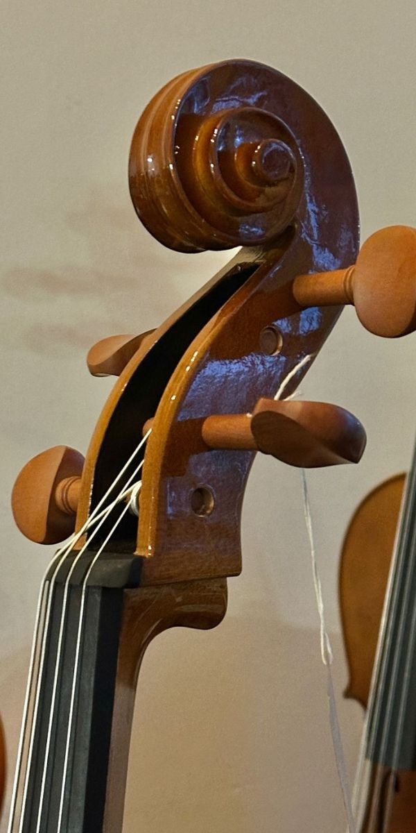Violoncelo Eagle Ce200 4/4 Cello Com Arco, Breu e Capa Extra Luxo 