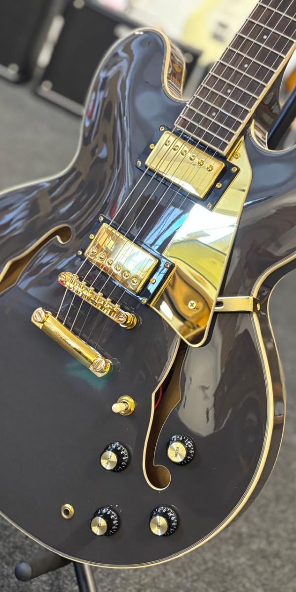 Guitarra Elétrica Giannini Sonic Deluxe Diamond Gae06 Dlx bf (black Coffee) 