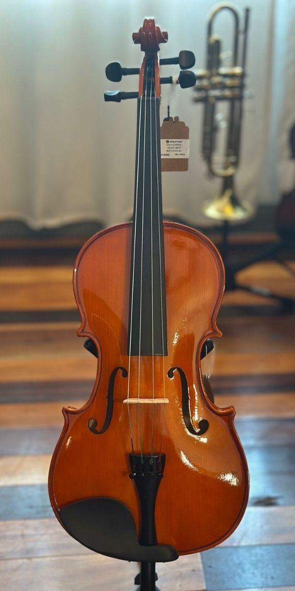 Viola Clássica Vivace Vbe44 Beethoven 4/4 Tamanho 40 Com Case, Arco e Breu 