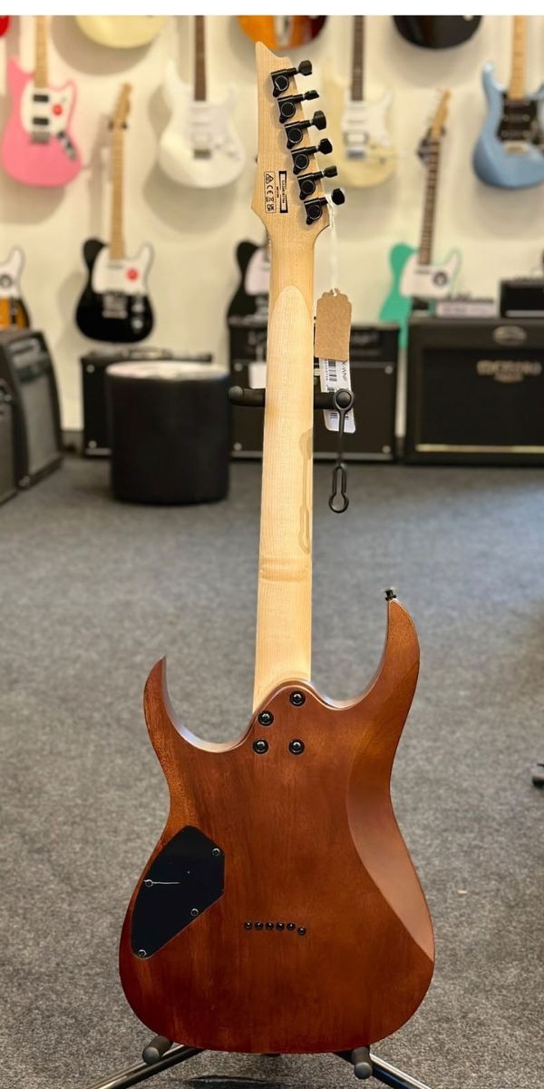 Guitarra Ibanez Gio rg Grg121dx-wnf Walnut Flat 2 Humbuckers 24 Trastes 
