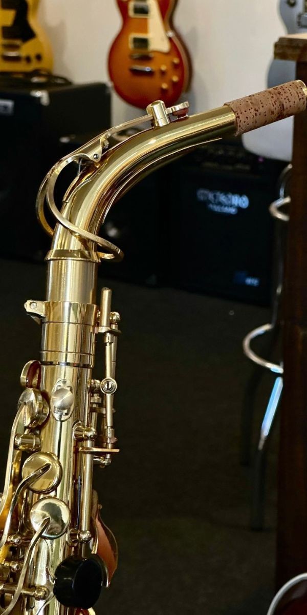 Saxofone Alto Vivace Vas101 eb mi Bemol Laqueado Com Case 