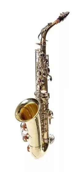 Sax Alto Laqueado Com Chaves Niqueladas  Shelter Snft6430ln Com Estojo 