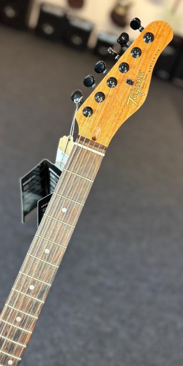 Guitarra Tagma Stella Escala Escura Mahogany Nts 