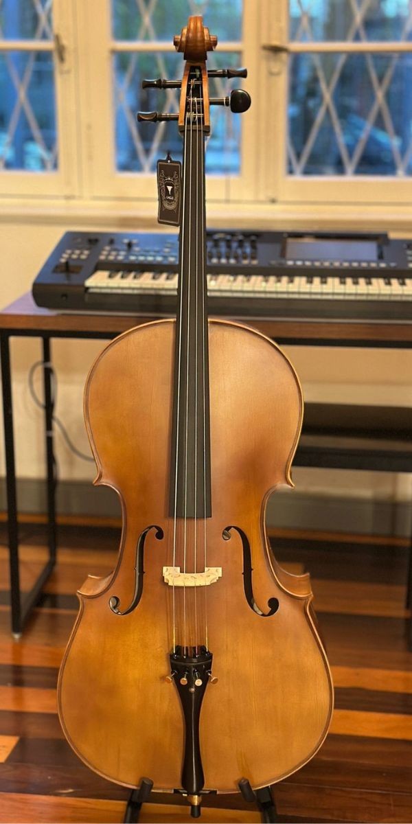 Violoncelo 4/4 Eagle Ce300 Abeto e Maple Sólidos Com Bag 